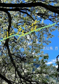 小梨花女装折扣信息